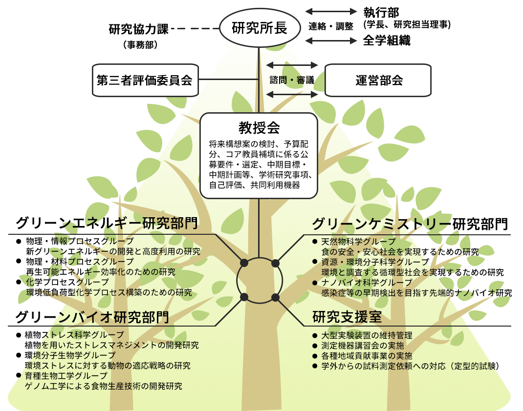静岡大学グリーン科学技術研究所組織図