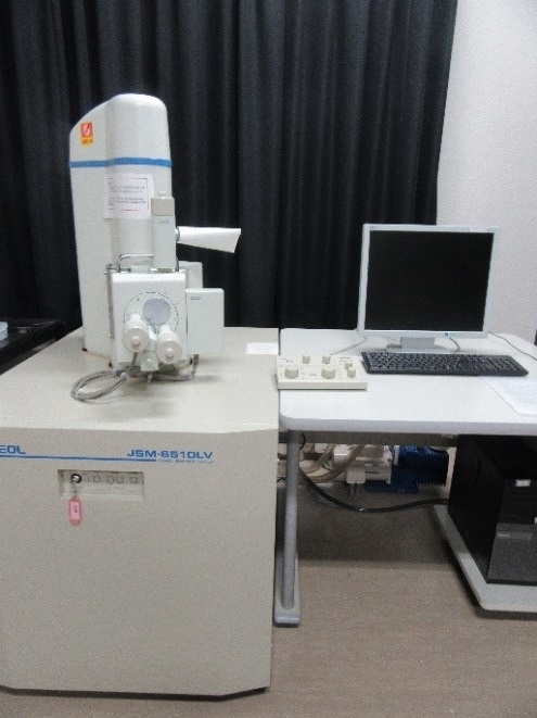 走査型電子顕微鏡（GS-SEM）